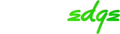 primeroedge logo.